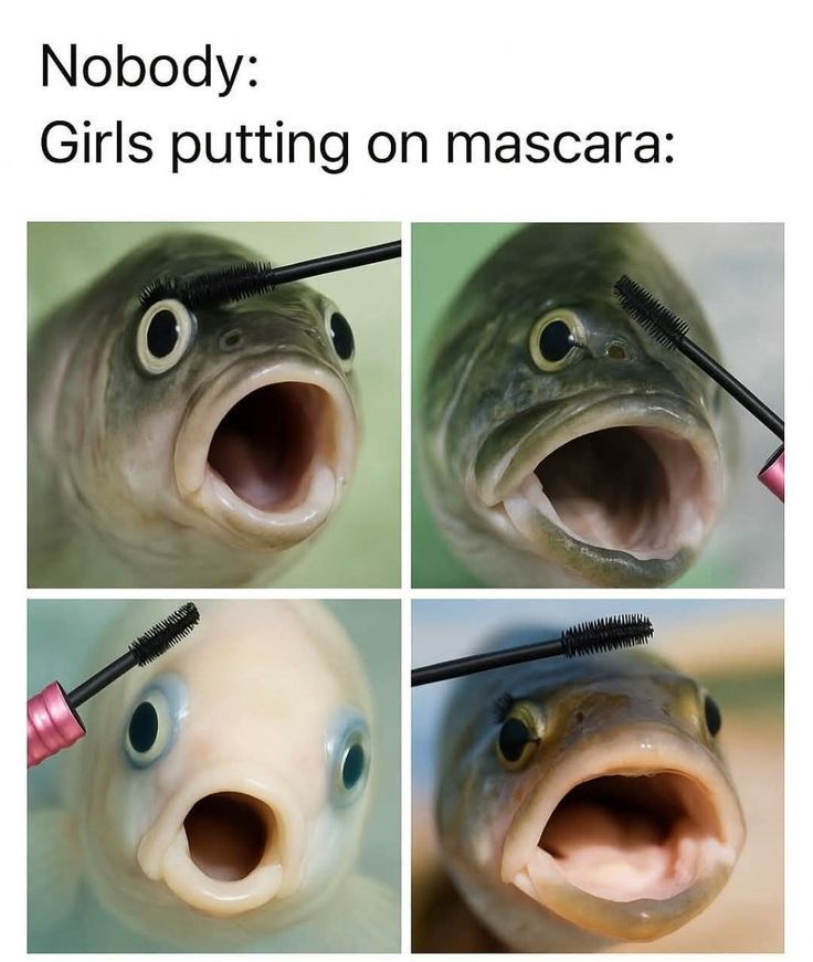 EGCosmetics_'s tweet image. 😭😭
#europegirlcosmetics #makeup #meme