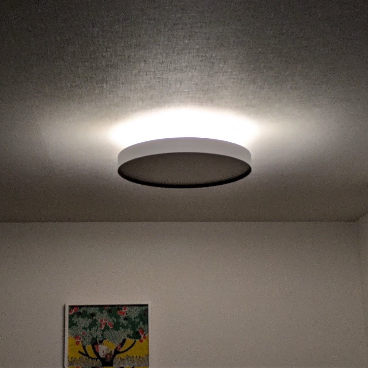 ぱろすけ tweet media