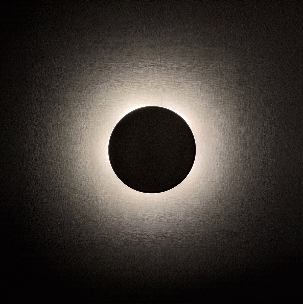 ぱろすけ tweet media