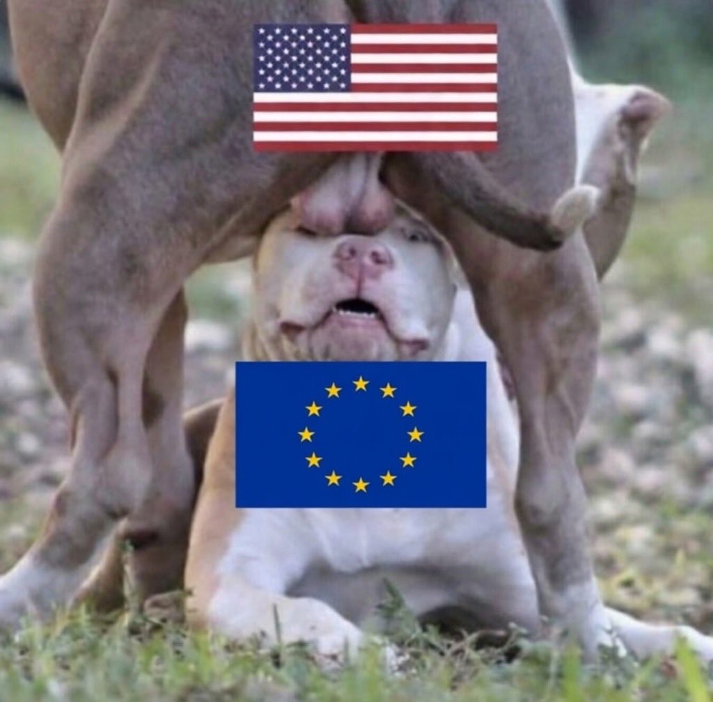 Brian J Jones 🇺🇸 tweet media