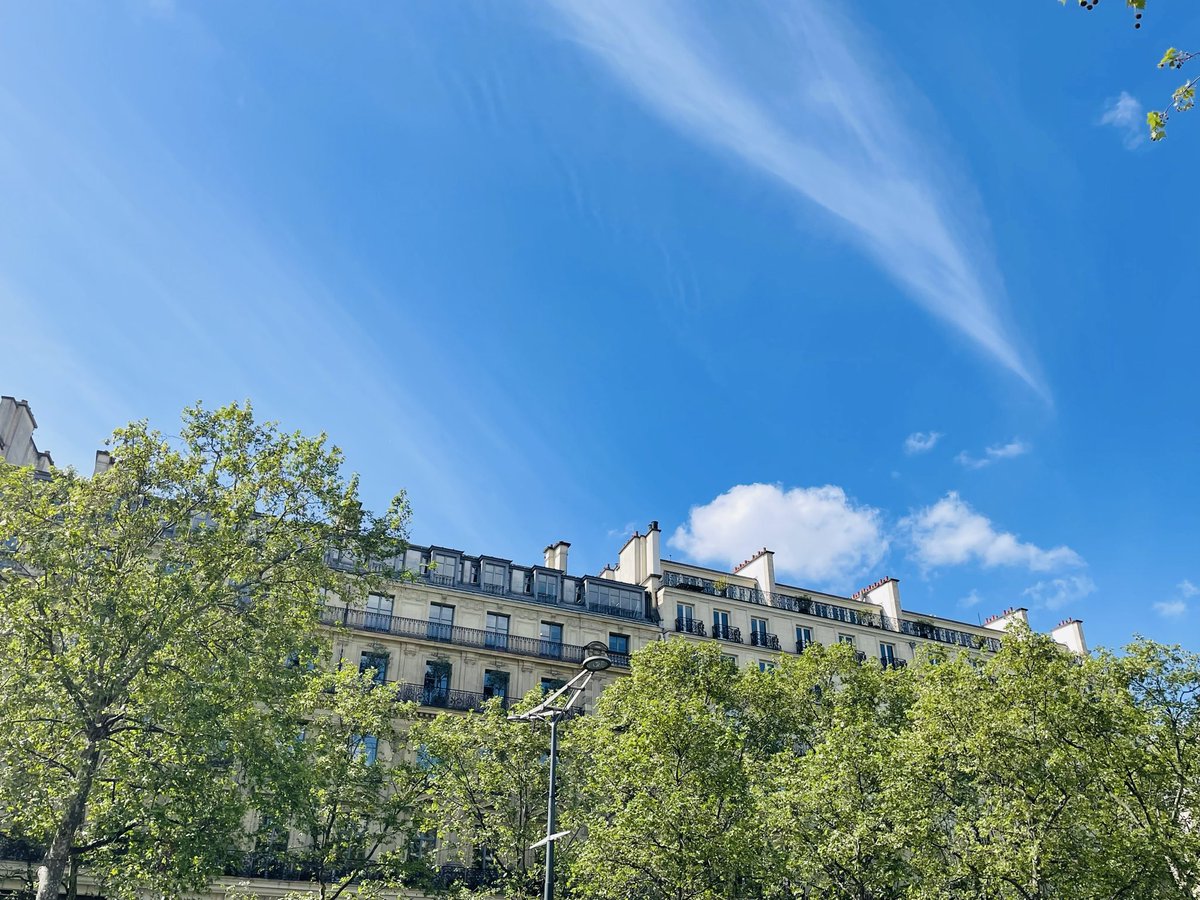 Paris_et_toi's tweet image. Bonjour

気持ちのよい青空☺️
天気はよいですが、風は冷たくジャケット必須です。午後は15度くらいまで気温が上がるようです。

Bonne journée 🌷

#イマパリ #パリ