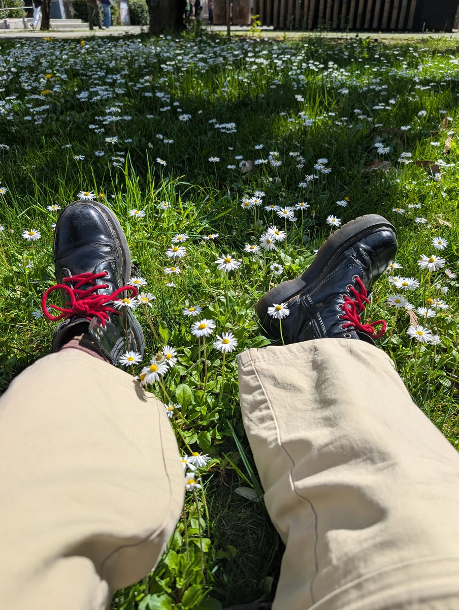 as_ter_oide's tweet photo. late but: type of butch i am (with my own pics) #butch https://t.co/RlHF1dkZ7F