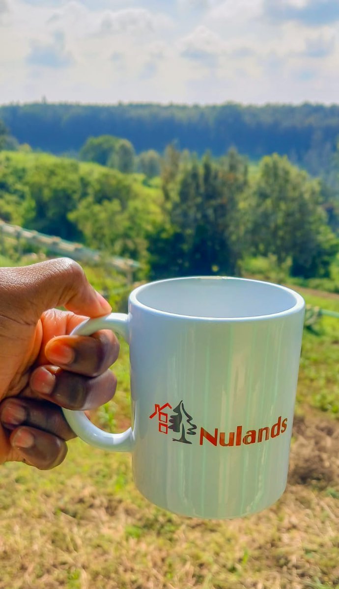 NulandsKE's tweet image. Happy Monday

Sip. Plan. Invest.

That’s the energy this week.
#NulandsLimited #MondayMood #LandGoals #Monday