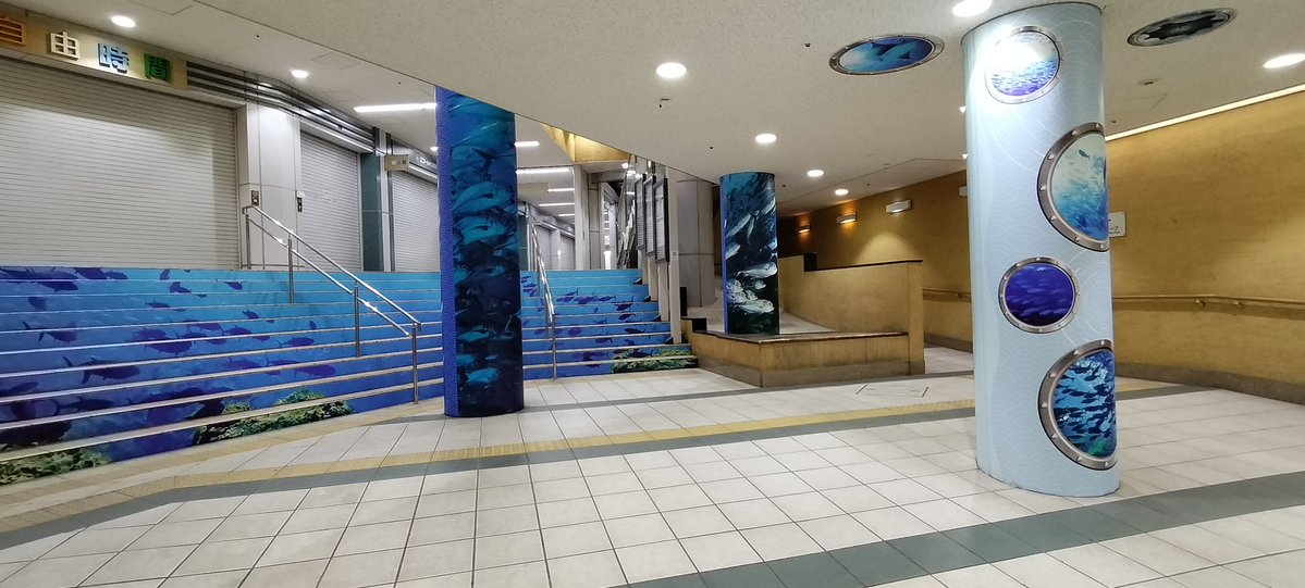 だんでーchang tweet media