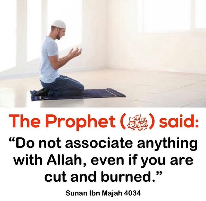 𝐌𝐚𝐡𝐝𝐢 tweet media