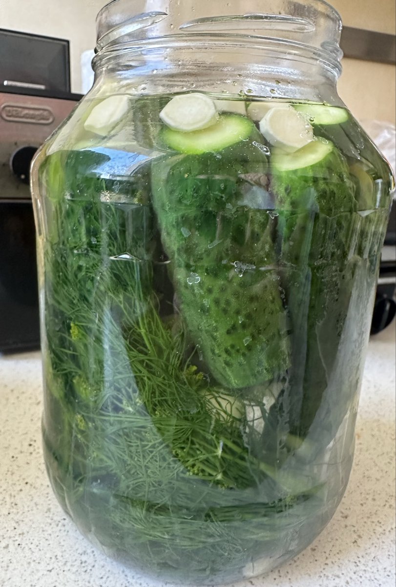 myliwanili ‎°❀⋆.ೃ࿔*:·𖡼.𖤣𖥧𖡼.𖤣𖥧𓇢𓆸 tweet media