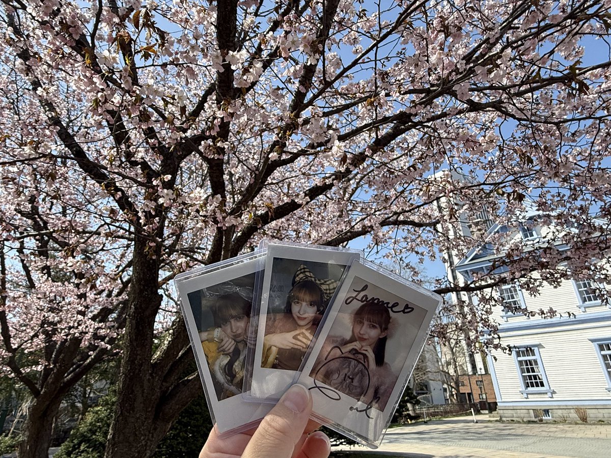 Saaya‎🐶🍙@さやぴ tweet media