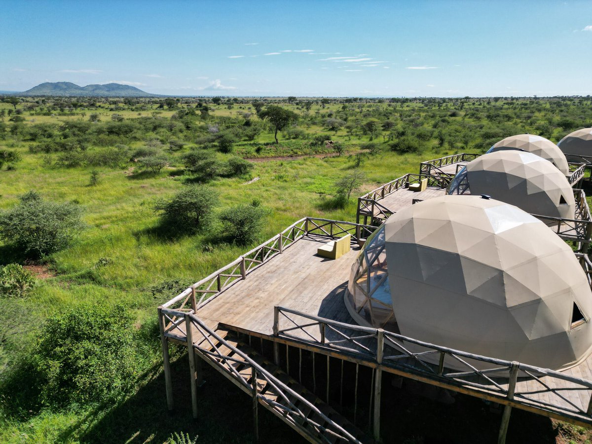 Stejos_Tours's tweet image. Don’t just visit Tanzania, experience it 🇹🇿

At Kuoom Eco Lodge in Serengeti National Park, you’re perfectly placed to witness the Great Migration up close. 

This isn’t something you want to hear about later, see it for yourself.

#GreatMigration #Serengeti #TanzaniaTravel