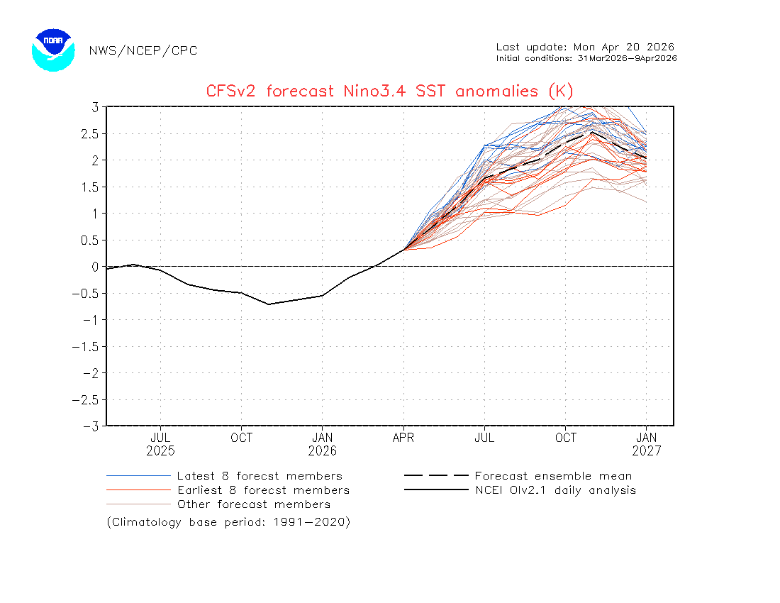 SeattleWXGuy's tweet image. Godzilla El Nino? #ENSO #Climate #Weather