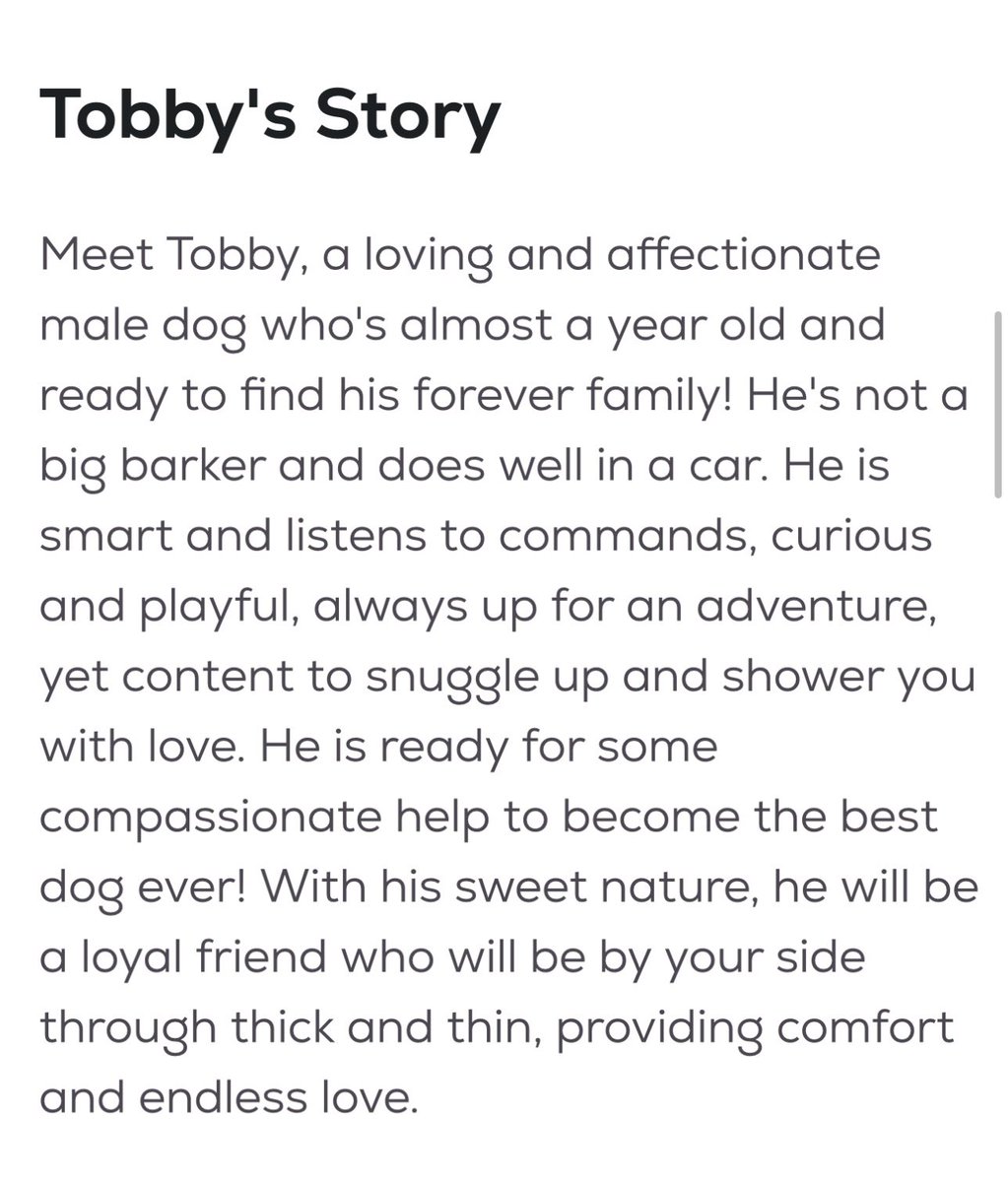 KristinaJulia2's tweet image. #MD #DC #VA Tobby is a VERY special dog.  He’s SO incredibly sweet, isn’t a barker, he’s a mixed breed, temperament between a collie &amp;amp; beagle.  This dog is super special &amp;amp; should not be stuck in a crate 23 hours a day, pls help Tobby, would be great with kids bc he’s super