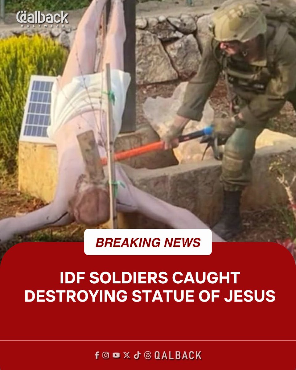 Qalback Hollywear tweet media