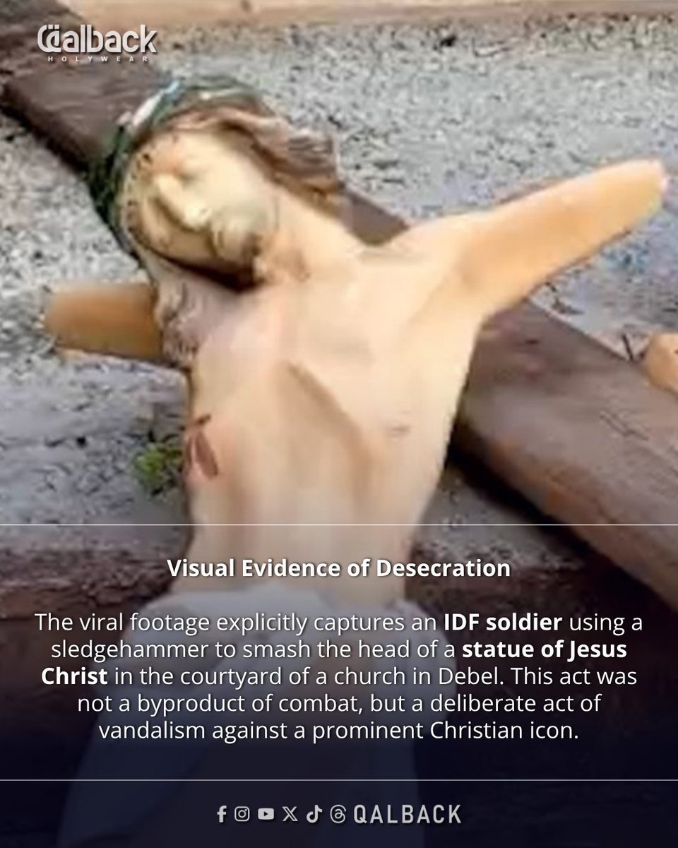 Qalback Hollywear tweet media