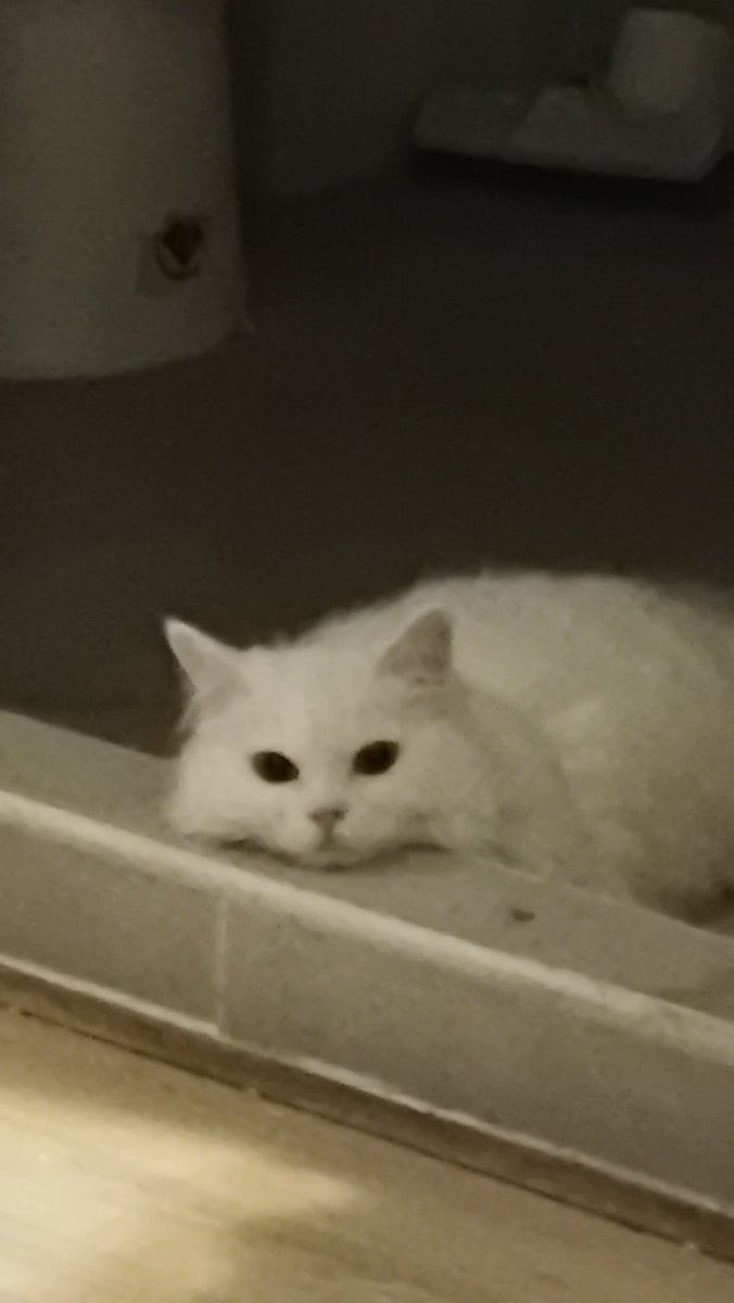 ◼️◼️◼️ tweet media