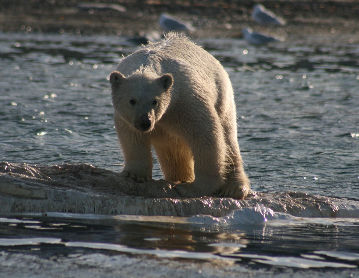 rockyhud tweet media