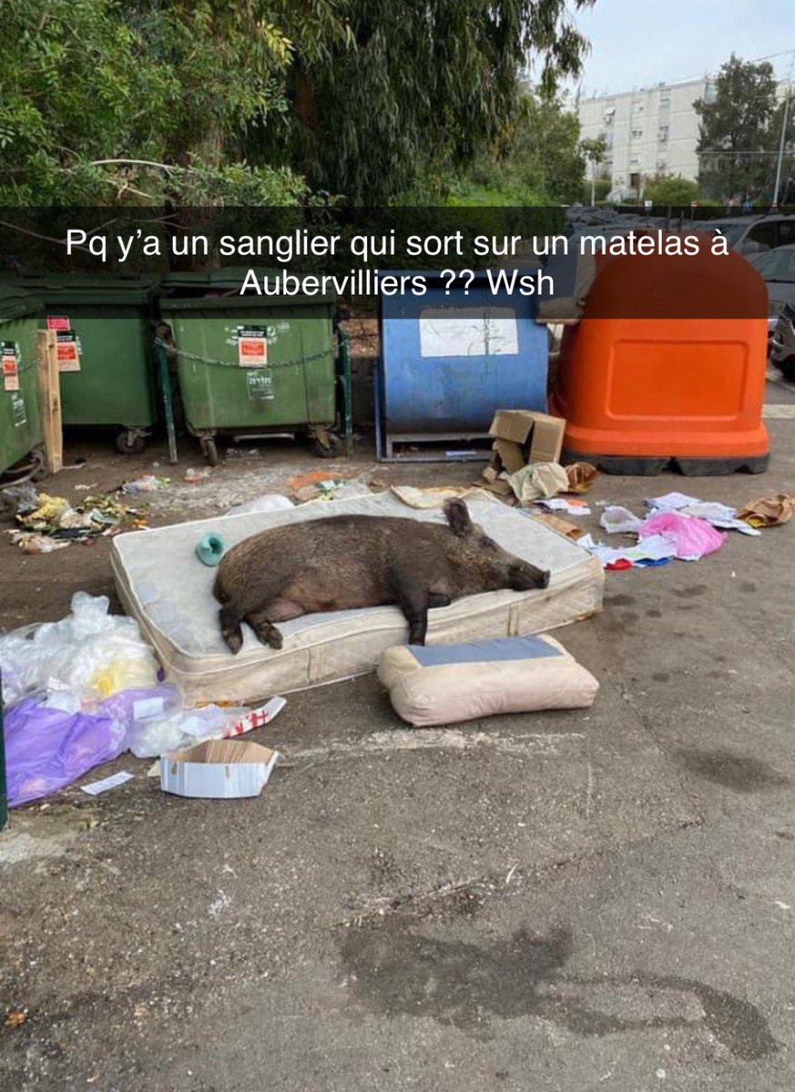 🇹🇳 tweet media