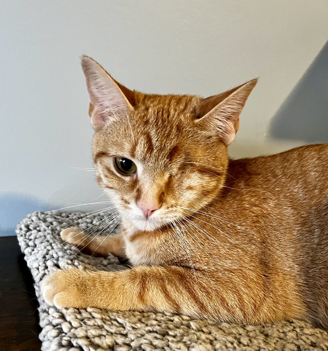 Claude Krause tweet media