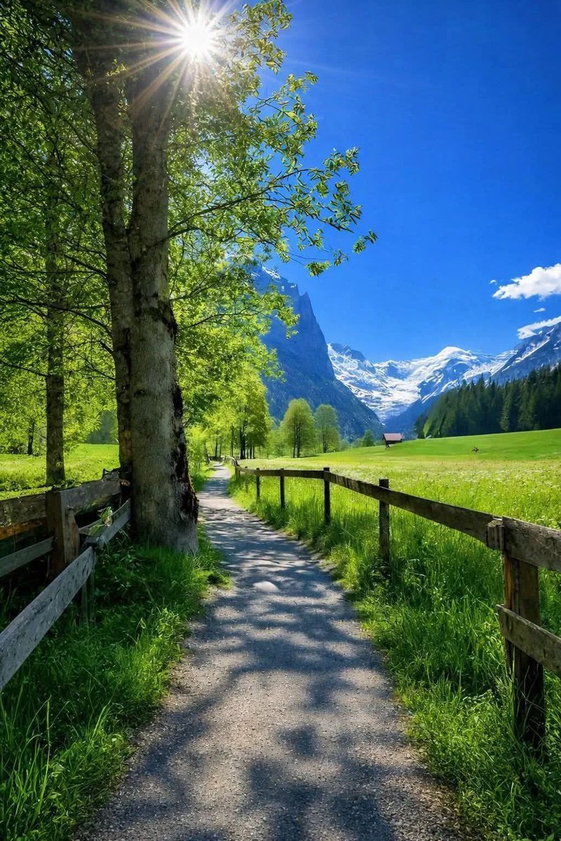 Switzerland 🇨🇭