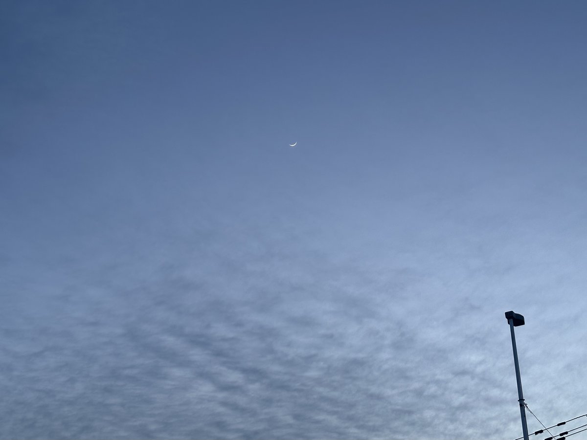 脳幹@脳幹と大腸半分ぐらいと腎臓がだいぶBANされますた tweet media