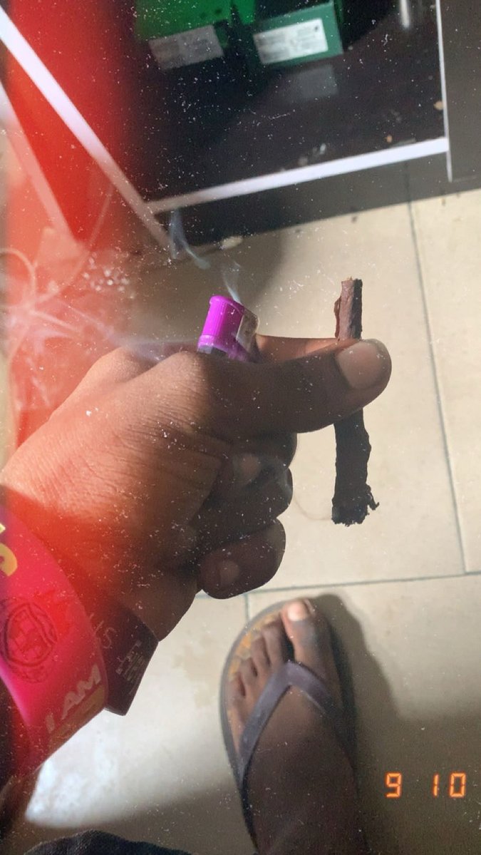 Happy 4/20 folks 💚🌿🍂