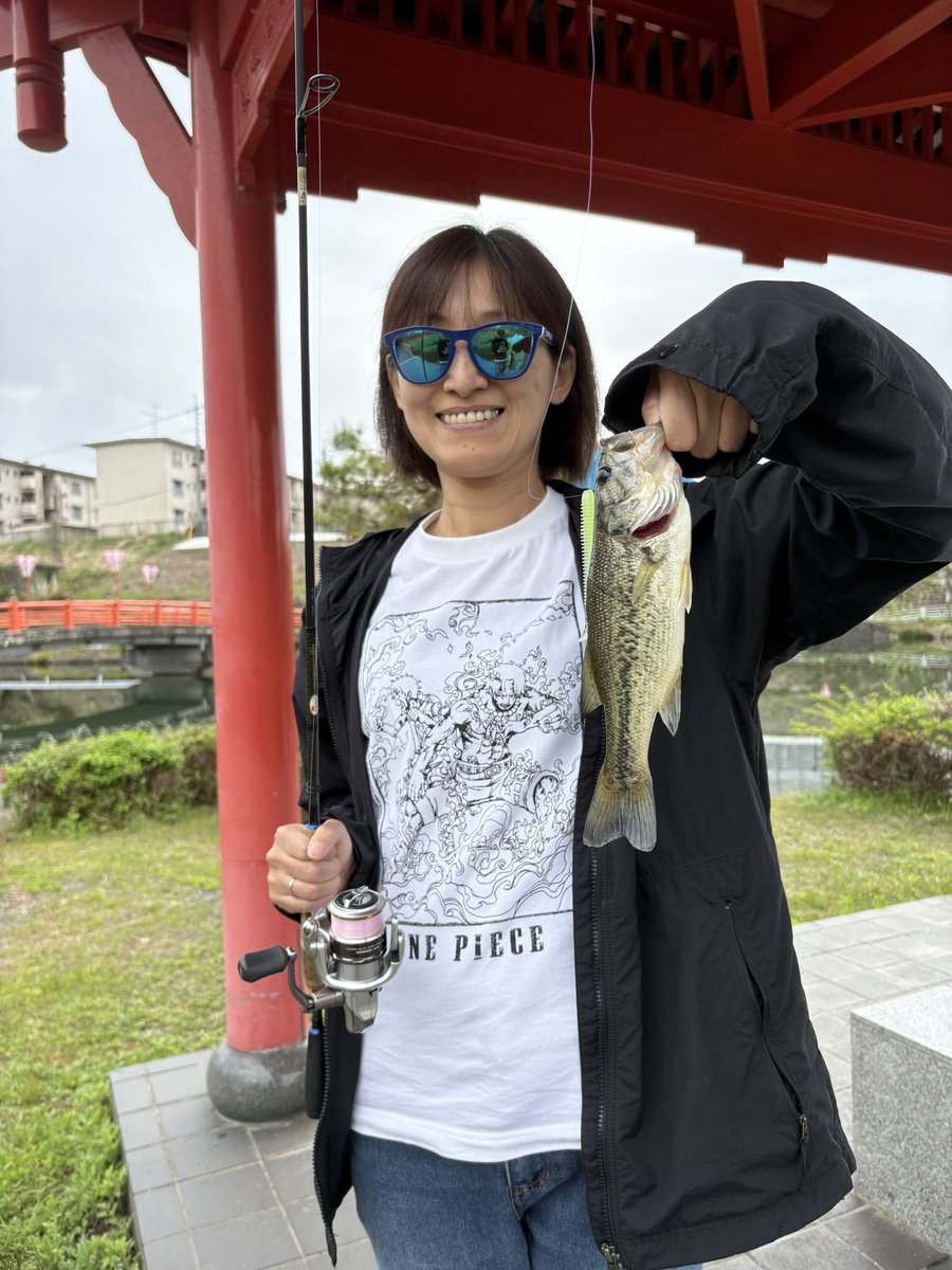 NOMAD TOSHI tweet media