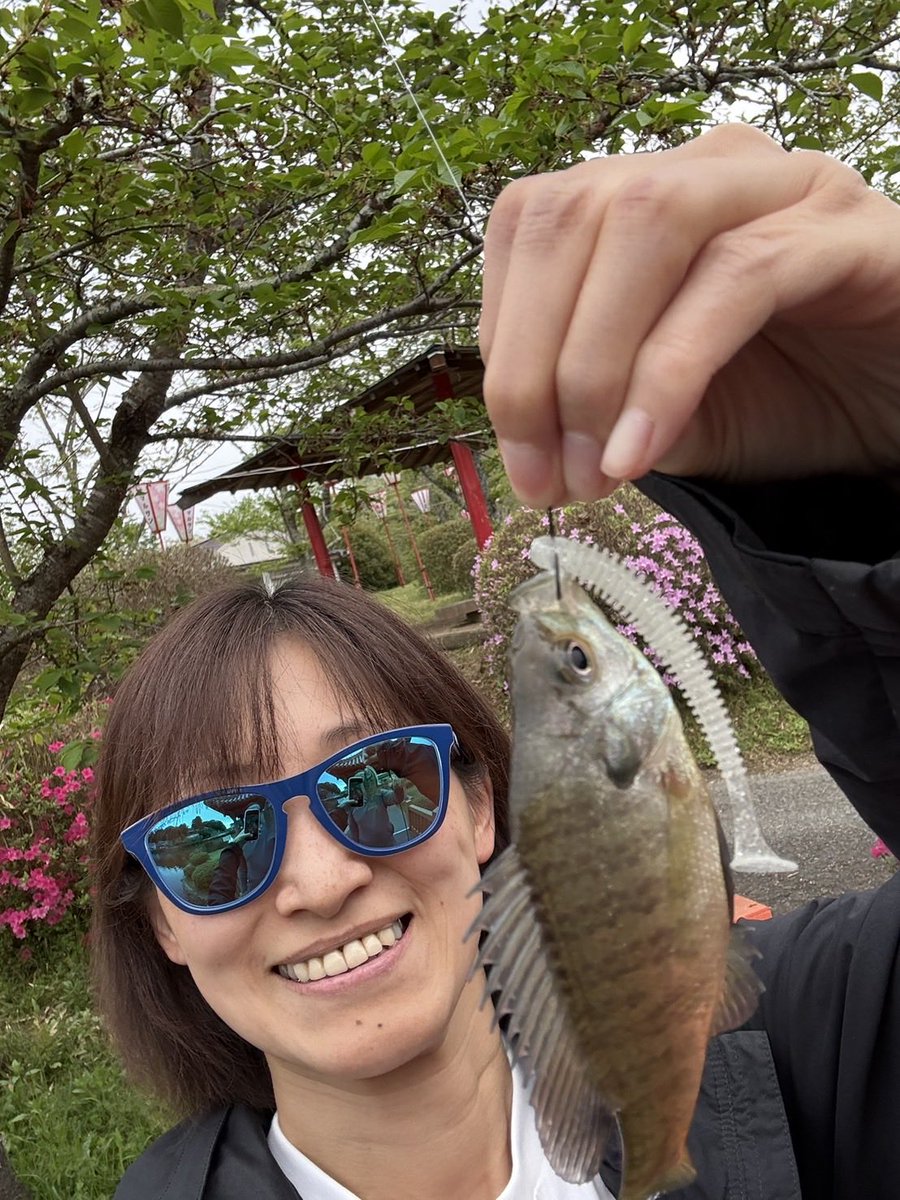 NOMAD TOSHI tweet media