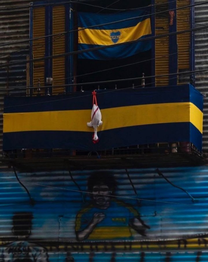 Buenísimo día Bosteros 💙💛💙
🤣🤣🤣🤣🔪🐔👉👌