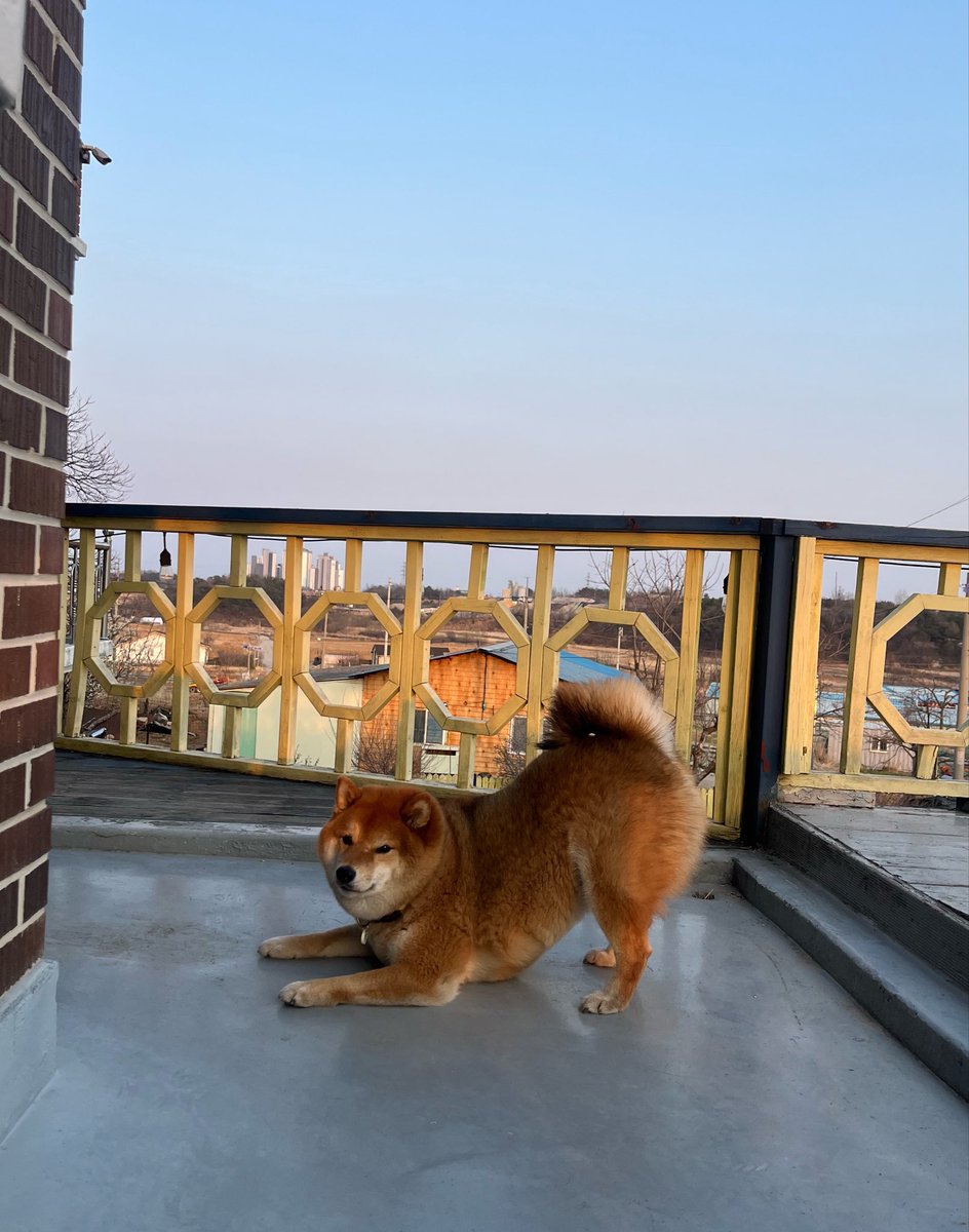 젤리누나 🍈🍋 tweet media