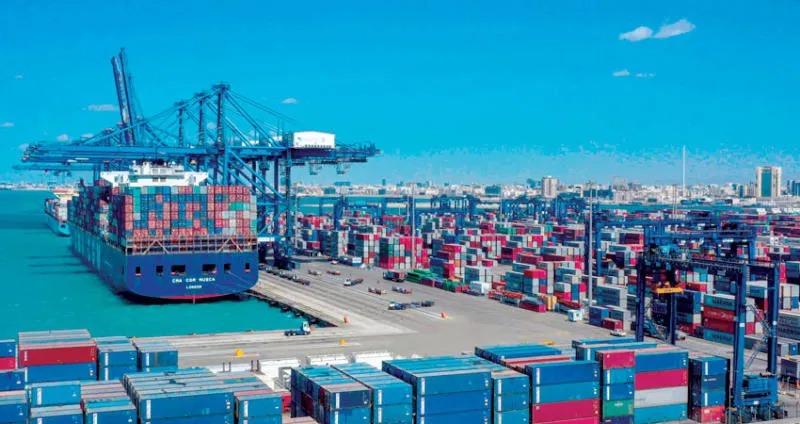 THE WOLF OF TASI ™ tweet media