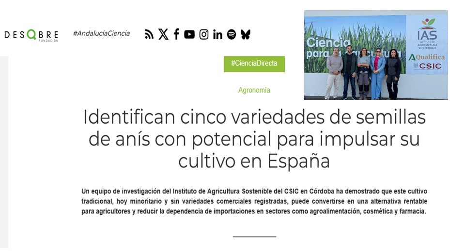 IAS_CSIC's tweet image. 🌿 Identifican cinco variedades de semillas de anís con potencial para impulsar su cultivo en España
#cienciaparalagricultura #CSIC @CSICdivulga @IAS_CSIC @PDResistLab  @DiegoRubiales_  @ebarilli1  @Clausilver  @Pierlu_Rev @FDescubre @iDescubre_ 
ias.csic.es/?p=49192
