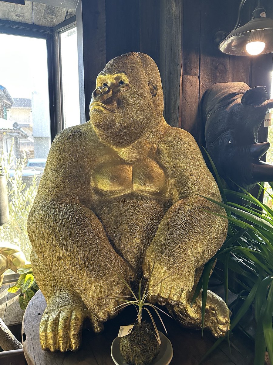 ラリーゴ🦍メガシティ横浜町田 tweet media