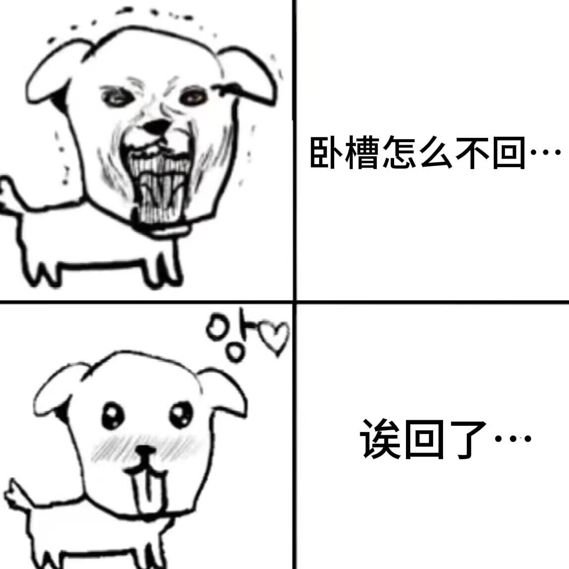不渝 tweet media