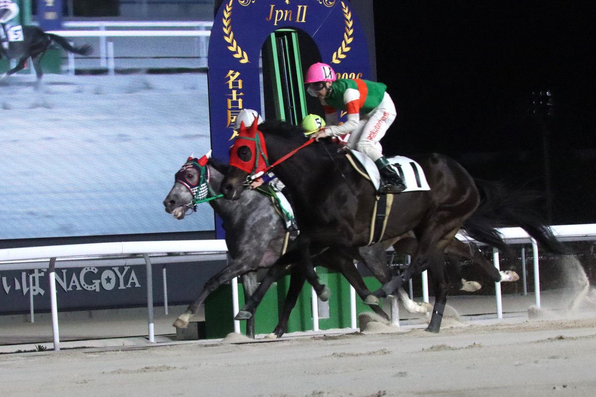 金シャチけいばNAGOYA ＠名古屋競馬 tweet media