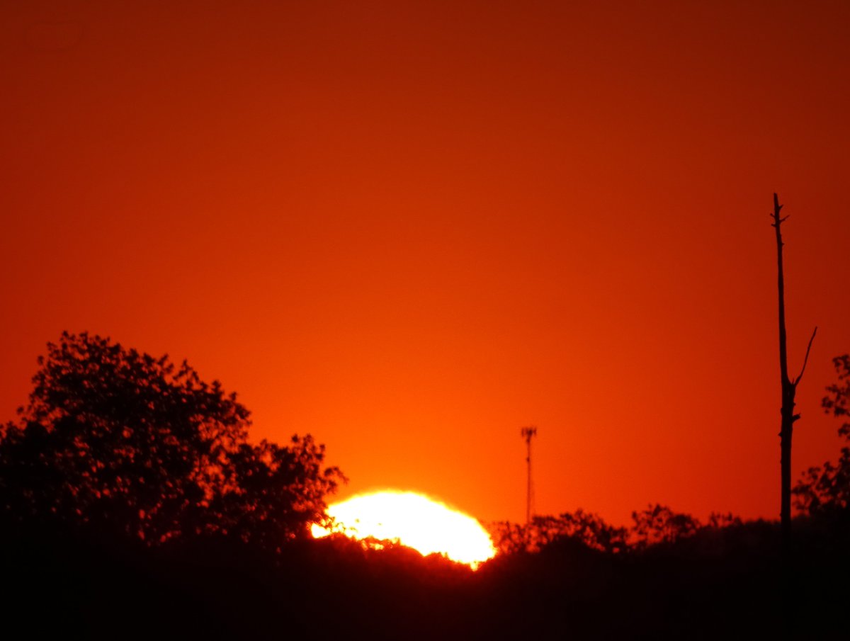 Sheryl Franklin tweet media