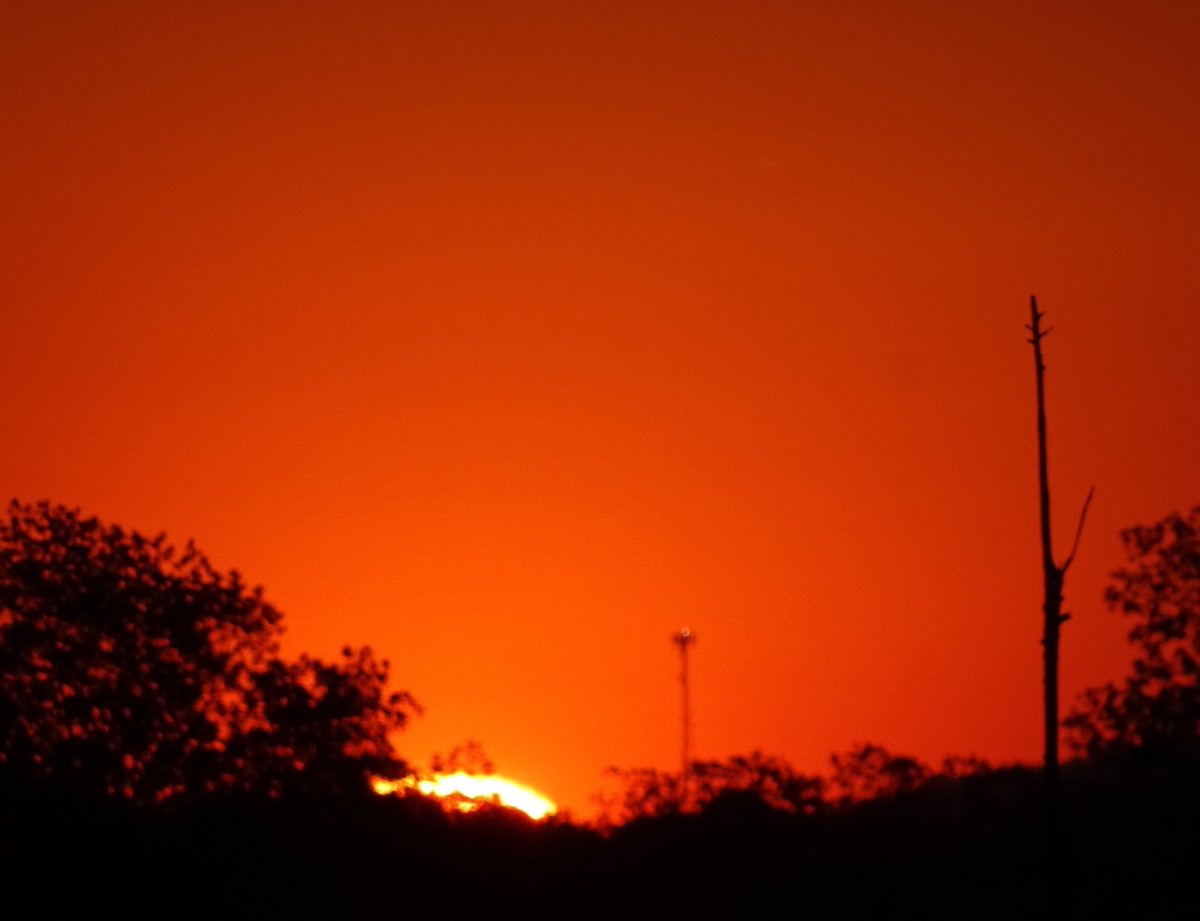 Sheryl Franklin tweet media