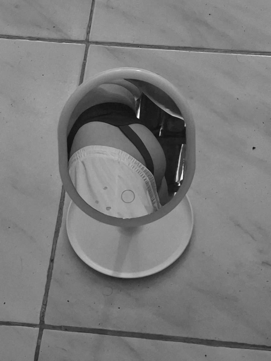 David de Michelangel tweet media