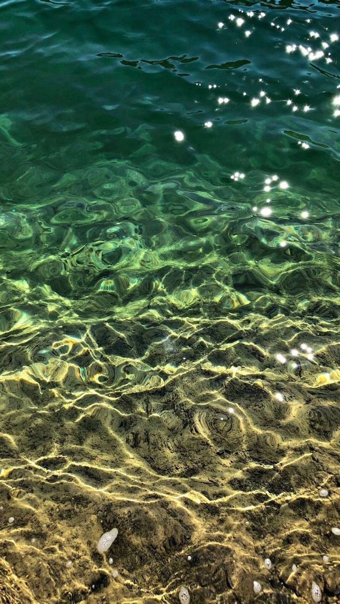 EdenOnEarth tweet media