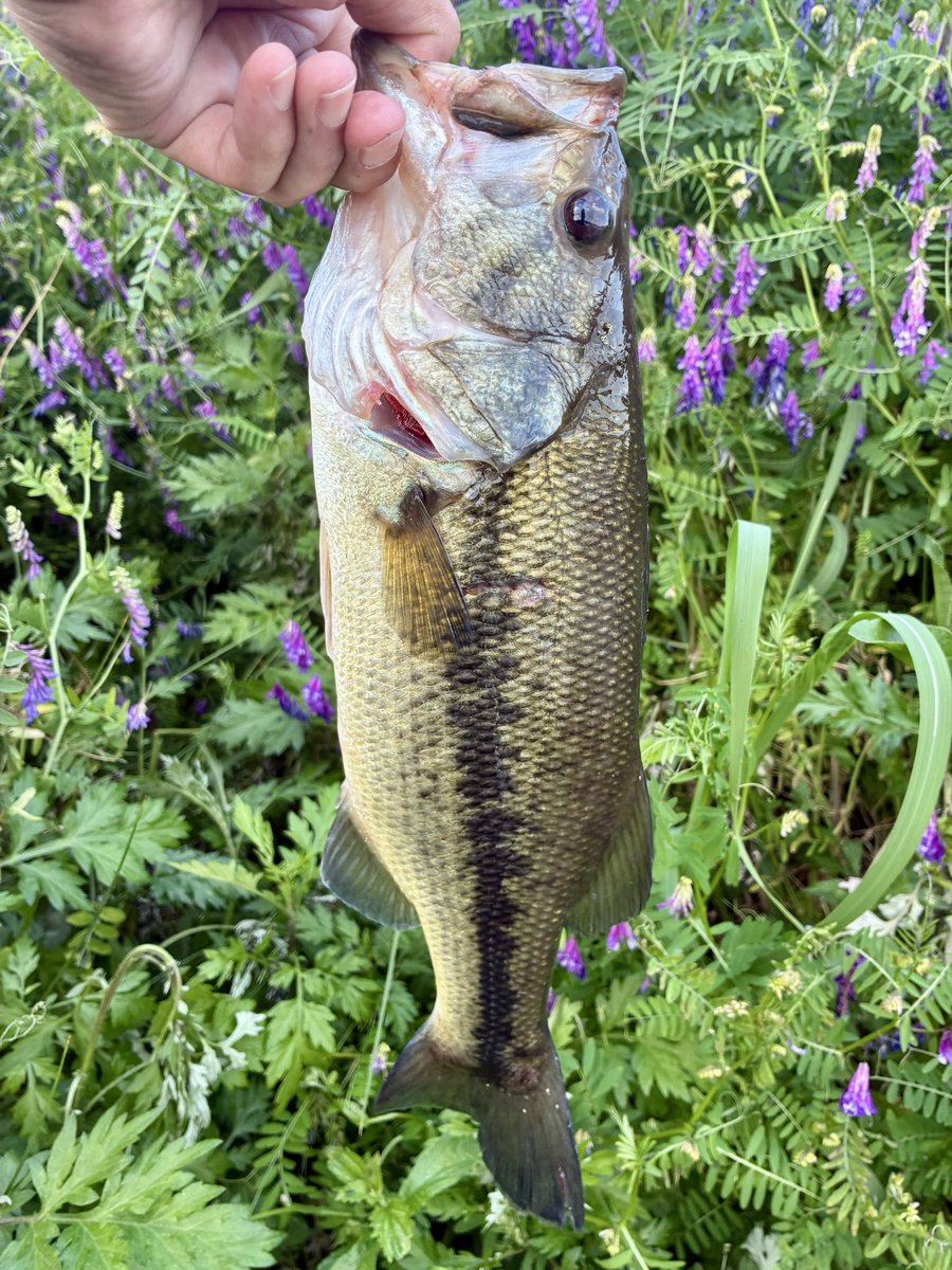 きたつ tweet media