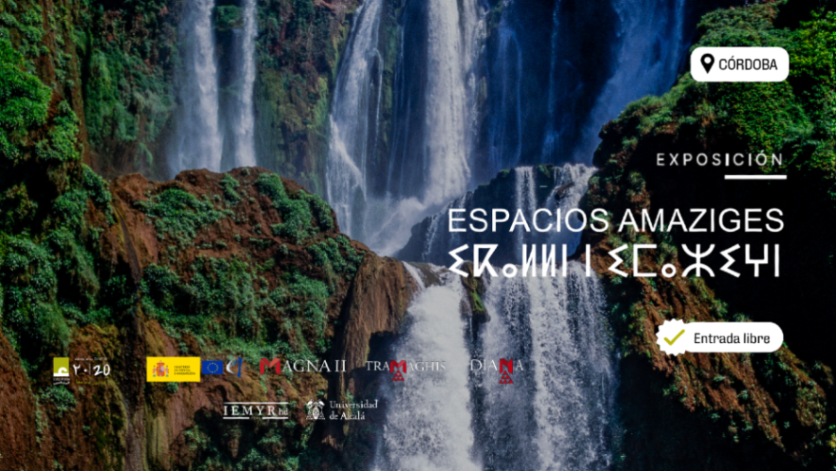 Casa Árabe tweet media