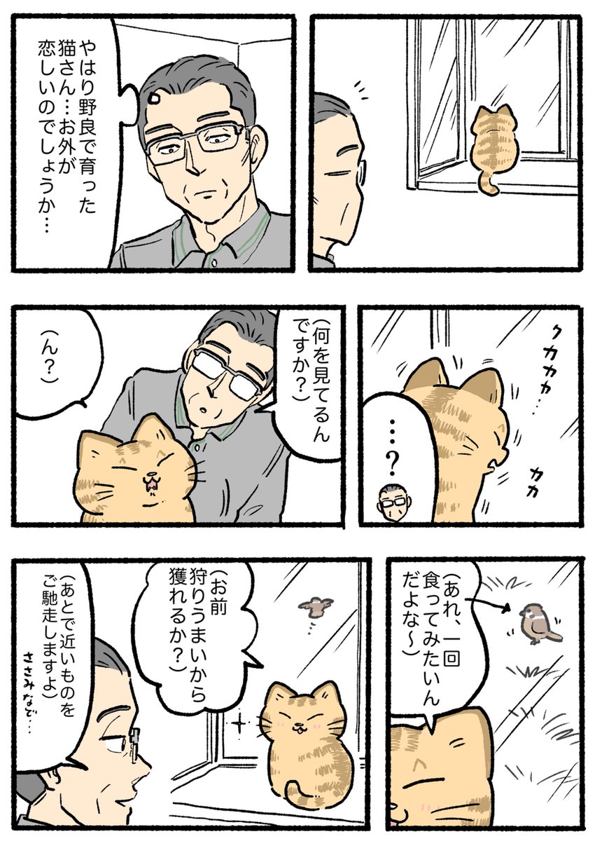 RT @yajima_en: ねこに転生したおじさん。その938