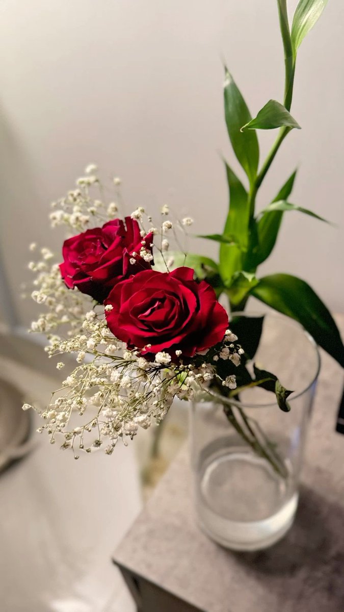 shhs441's tweet photo. اللهم دربا يشبه نيتي، وخيراً
يشبه دعائي، وهدوءًا يشبه
قلبي.🤍🌱 https://t.co/khAJ98vDCQ