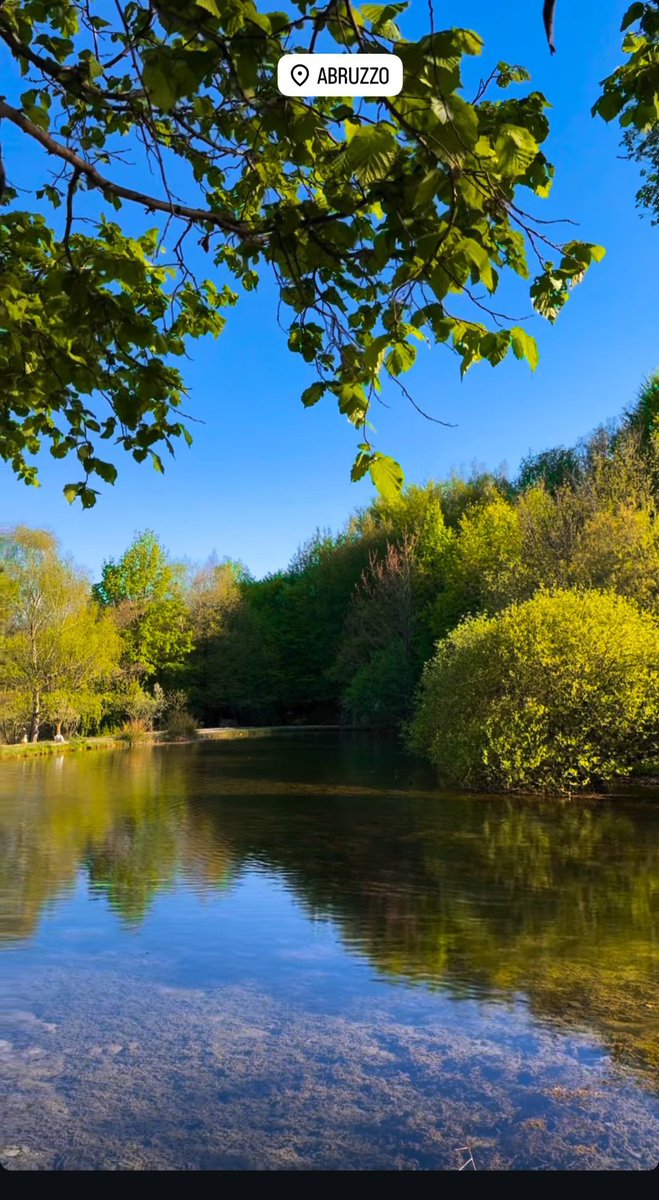 Loredana Ruggiero tweet media