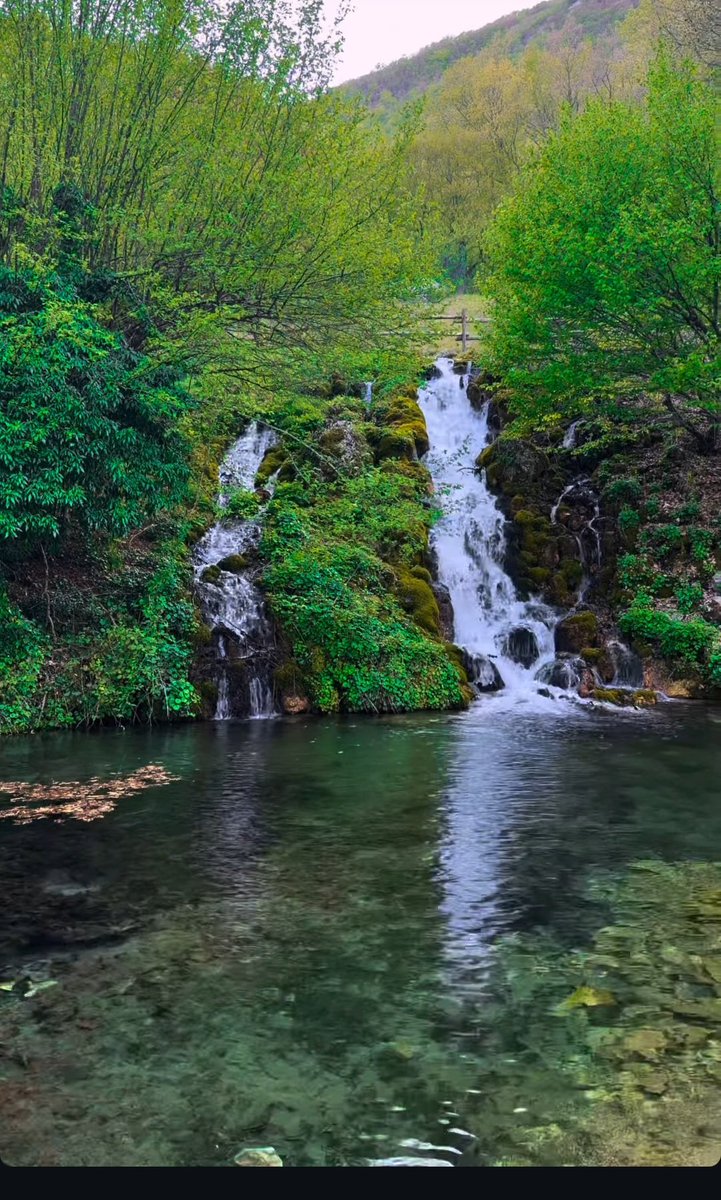 Loredana Ruggiero tweet media