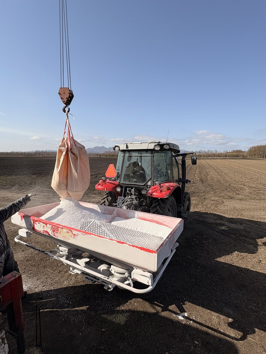 今日も一日、お疲れ様でした👏
竜ちゃまは、低学年なので学校から帰宅が早くて畑へ連れて来ました🌱

トラクター乗ってみたり、パパの作業見てみたり、ぷらぷらしてみたりってご機嫌でありました(♡˙³˙)
