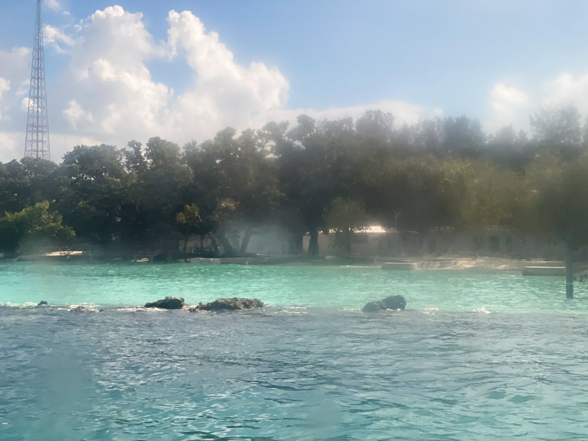 Morningstar 🇵🇸 🔻 tweet media