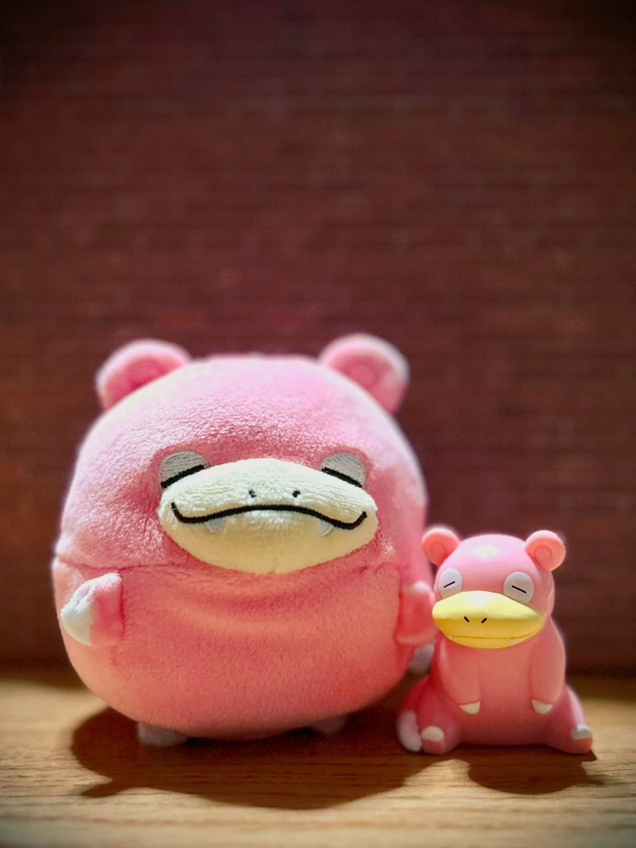 ぬいまる tweet media