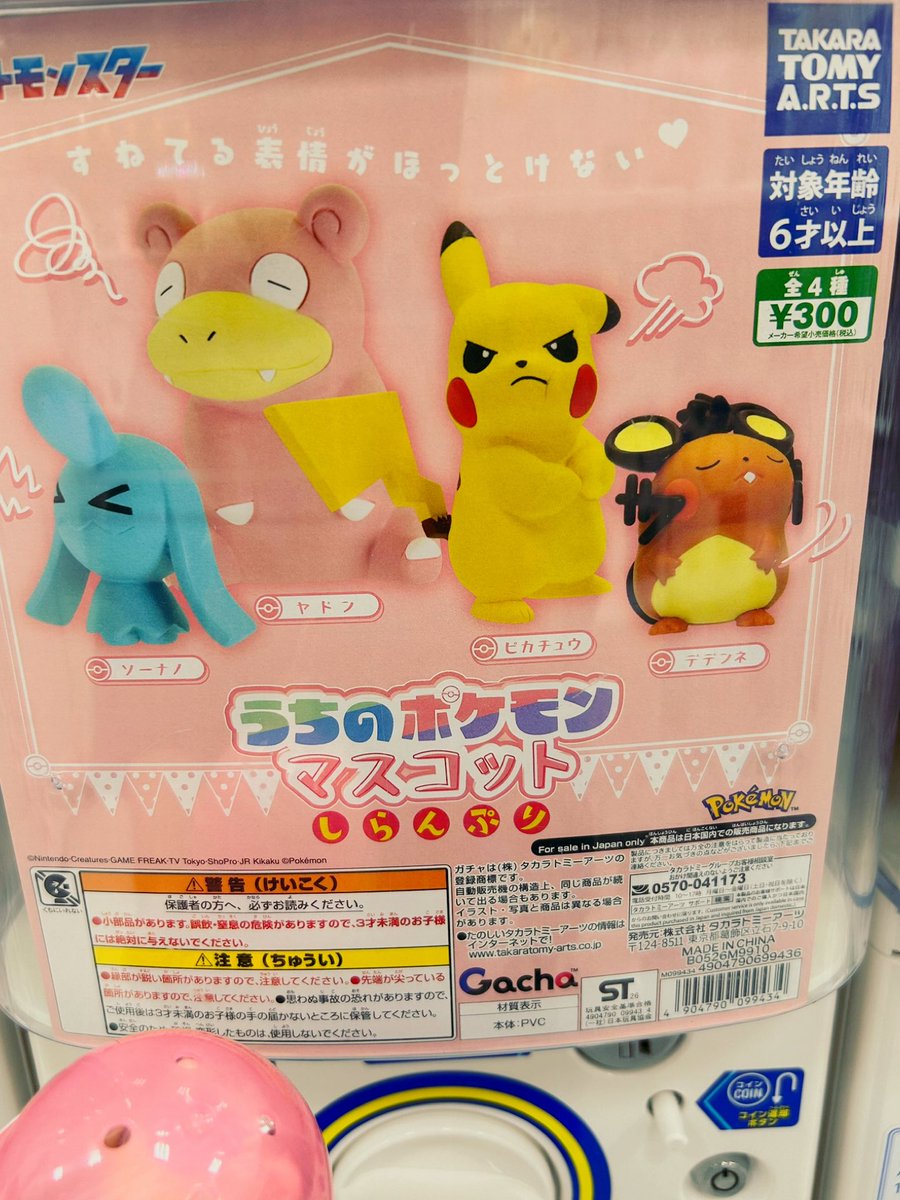 ぬいまる tweet media