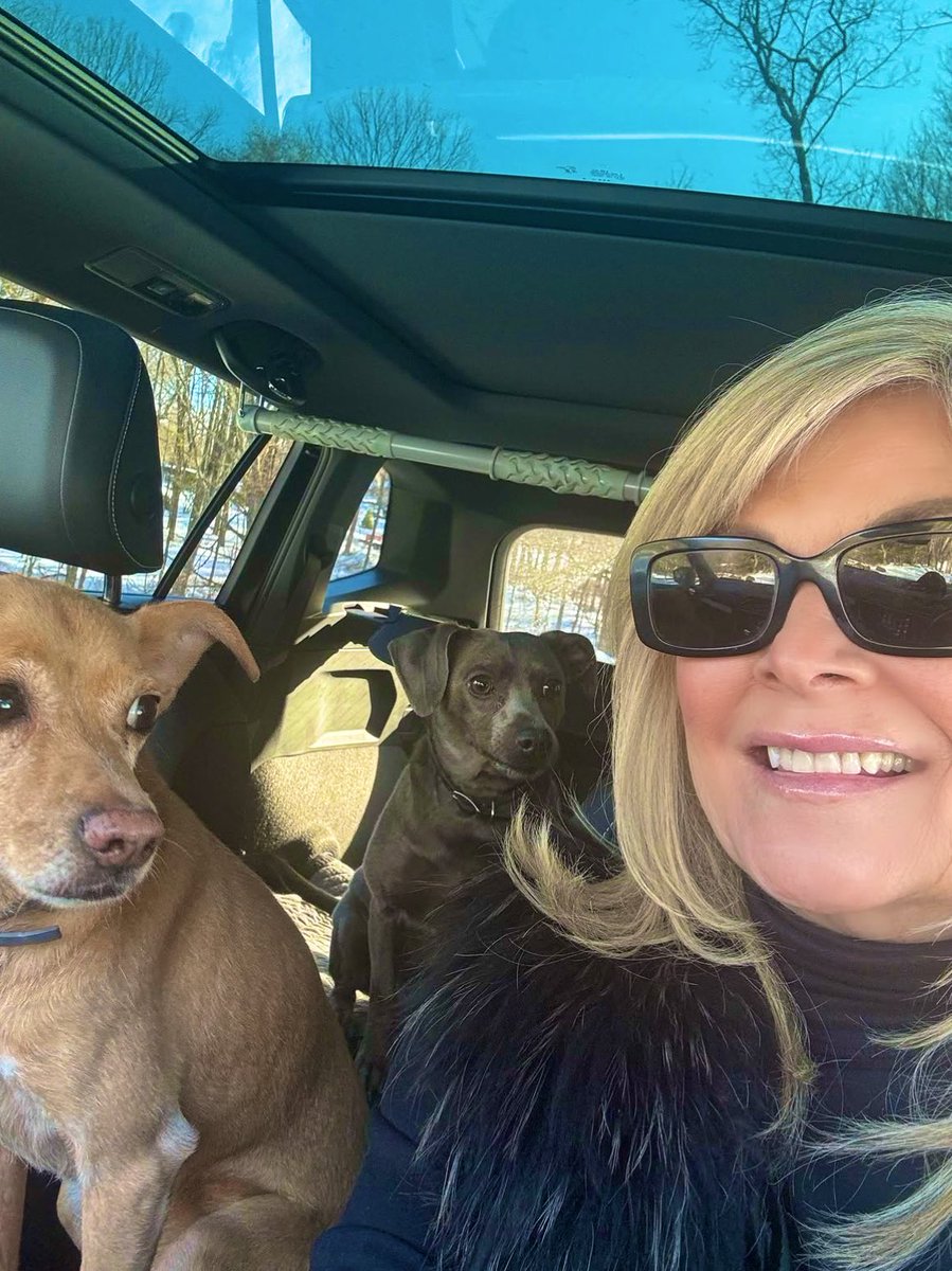 Jane Woolf tweet media