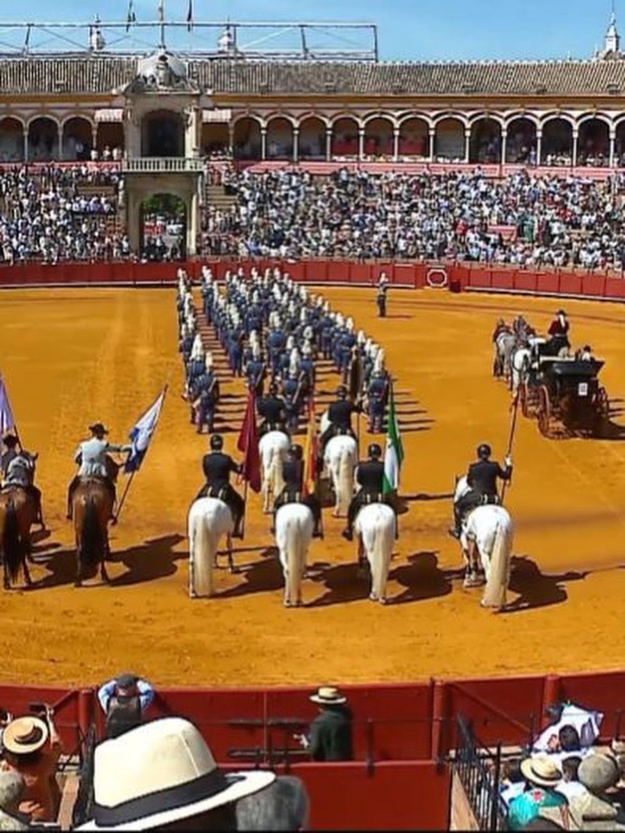 Banda del SôL tweet media