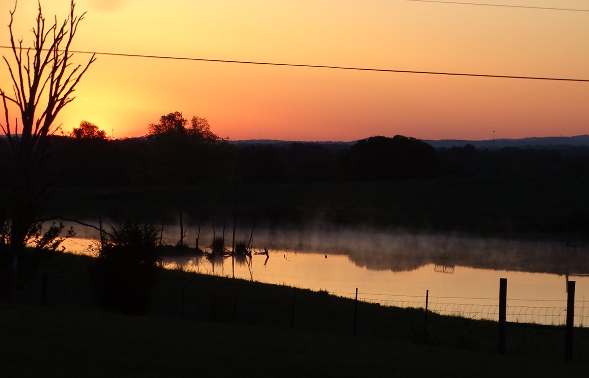 Sheryl Franklin tweet media