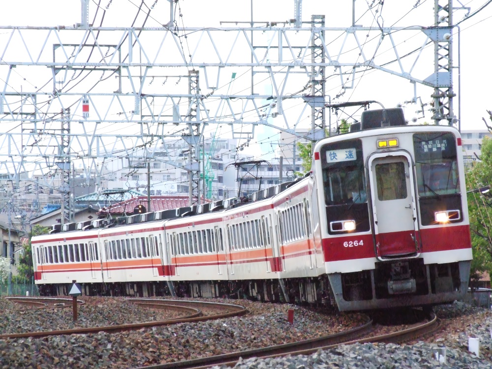 せせらぎ tweet media